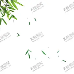 竹子竹叶 【酷图网】竹子,竹叶,青竹,长寿竹,毛竹,竹节,高风亮节,绿叶,绿竹子,竹子素材,端午素材,素材合辑
