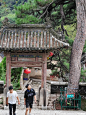 微博 – 随时随地发现新鲜事