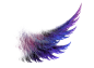 purple wing by Stephanie-inlove