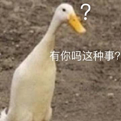 蜜汁鸡肉串采集到【表情包】