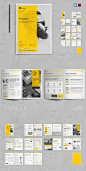 Business Proposal Design Template Brochure Print Adobe