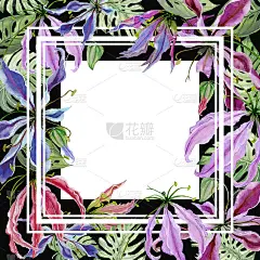 漂亮的花边。在黑色背景上盛开着奇异叶子的百合花。为文本留出空白的方形框架。水彩画。