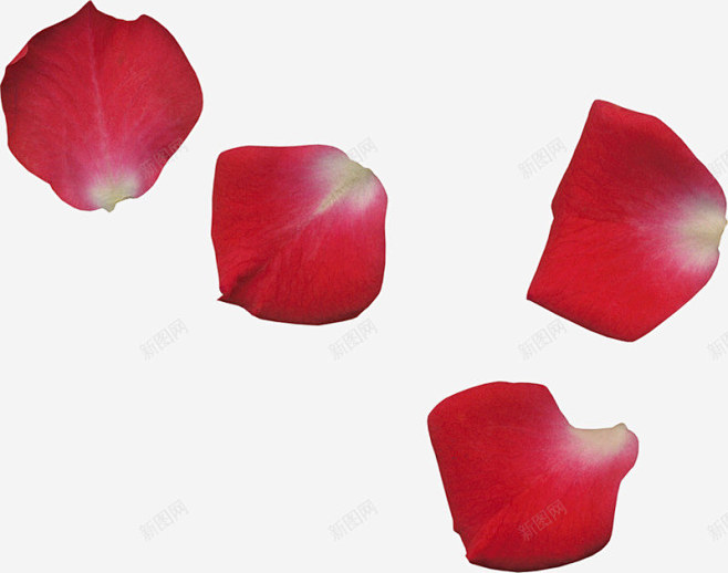 花瓣   玫瑰花瓣 樱花 桃花 飘落 飘...