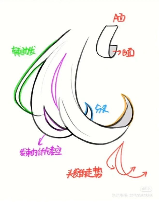 头发发尾画法教程来啦！-花瓣网