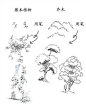 周一植物练习，欢迎小伙伴们临摹，发布微博时带上#每日手绘练习#打卡，有几率获得官博的点赞、评论、转发~

(图源网络，侵删) ​​​​