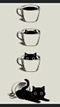 Kant faut y aller... on Twitter: "UN PETIT CHAFÉ ?… "