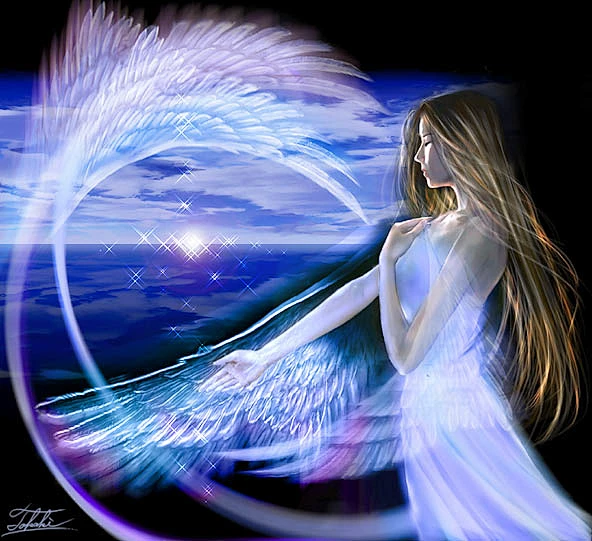 喜爱内的花瓣采集图片-空祝幻