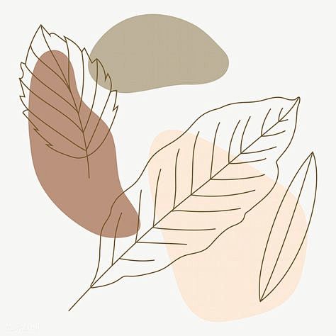 Pinlite-Pinterest中文极...