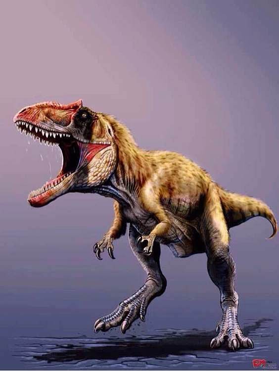 【图片】一些古生物以及恐龙_恐龙吧_百度...