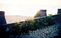 General 2560x1600 photography nature landscape plants depth of field flowers #美景# #水下摄影# #摄影师# #静物#