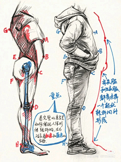 Hairtail采集到插画—基础(速写,教程,人体透视)