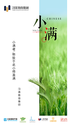 哈利璐璐呀HL采集到平面物料