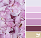 Design Seeds : Design Seeds color palettes ... posted daily for all who love color.
