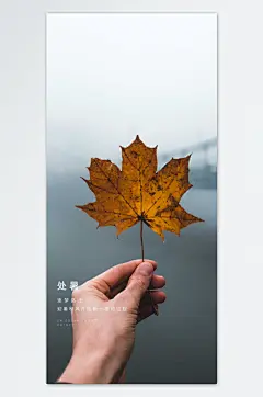 迎着秋风开始新一季的传承处暑节气海报