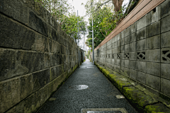 YUPLUSS采集到房屋