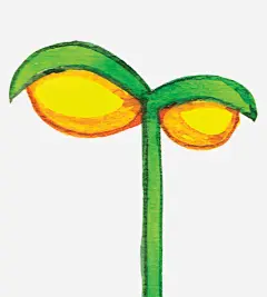 种子萌芽免抠素材_新图网 https://ixintu.com 插画 植物 草芽 豆芽