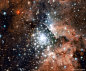 NGC 3603內的星爆星團