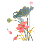 鎏金水墨荷花元素(2)