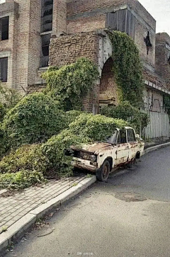 芋圆子钰圆采集到摄影--建筑