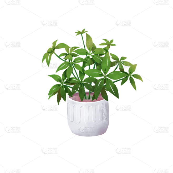 手绘发财树盆栽元素
