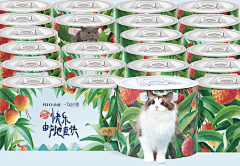 白小白已存在采集到樱花季