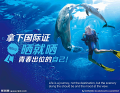 Pearl_0812采集到潜水