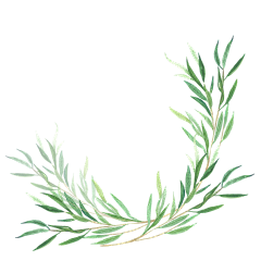 燕子丫头采集到动植物 果蔬素材