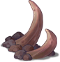 Zone11_Plant_23