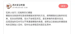 花束小技巧 | 花瓶帮你打螺旋 螺旋技法就是… - 堆糖，美图壁纸兴趣社区