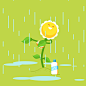花 草 下雨 洗澡