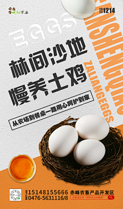 皮蛋solo弓米弓采集到成稿-产品海报