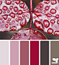 Design Seeds® | find your palette