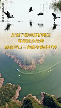 创意海报｜大河奔流看今朝--生态--人民网 