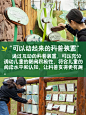 8个童趣花园设计创意 | 从5大感官着手！