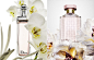 Utopia - Jonathon  Kambouris - Beauty : Utopia - Jonathon  Kambouris - Beauty