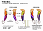 [肌肉教學] 本來只是想糾正在網路上的錯誤教學，結果就畫完一整個系列了......XD本教學部分參考Catfish Animation Studio出品的APP「肌肉 骨骼」這個APP有支援中文而且也不貴推薦大家下載來玩玩看！ : Plurk by 楊大媽★手錶粉碎者 - 36 response(s)
