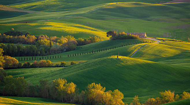 Photograph Tuscan Li...