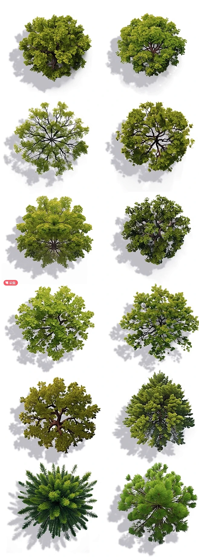 2024真实风顶视树木PS素材建筑景观写实风彩平面植物psd免扣素材-花瓣网