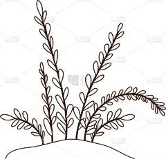 植物群,地形,图标,分离着色,请柬,环境,公园,草,动物,花