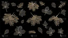 枝,叶子,黄金,黑色背景,灰色,九月,十月,风,英国,市场营销
