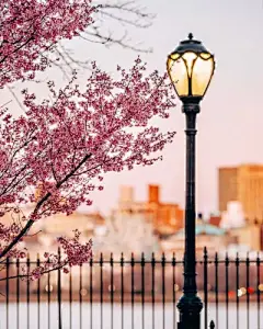 纽约 - 高清图片，堆糖，美图壁纸兴趣社区