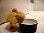 Marciebunny : This blog is a mix of elegance, nature, rustic themes, animals, and some medievalness.. Don't forget...