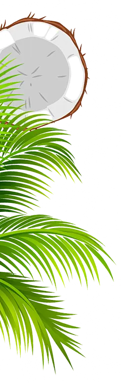 @冒险家的旅程か★
png植物 绿叶png椰子树树叶png 橡胶树 海边沙滩植物素材 树叶png 叶子png 芭蕉叶 香蕉树  png透明背景素材