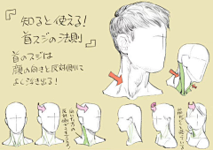Johnny_仲義采集到面部参考