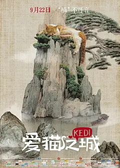 爱猫之城 Kedi 海报
