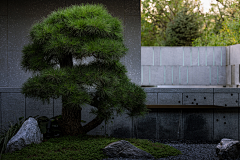 iYEq8cPt采集到H私家花园/庭院设计