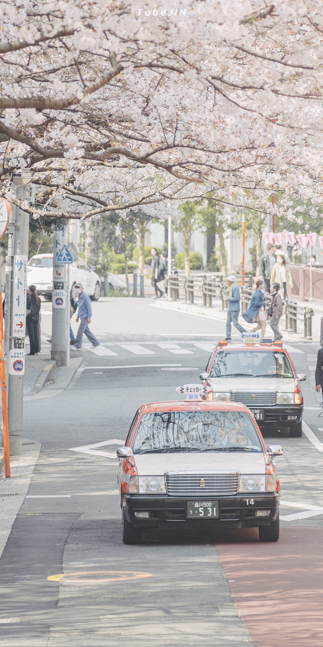 春日 · 花间集