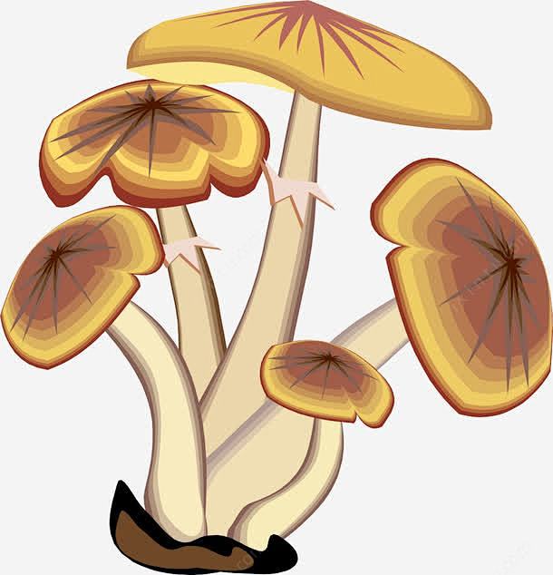 卡通高清素材 卡通 蘑菇 蜜环菌 免抠p...