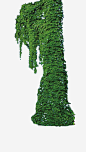 绿色植物爬山虎高清素材 叶子 植物 绿叶 绿萝 藤条 免抠png 设计图片 免费下载