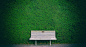 General 3000x1638 bench green minimalism